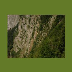 2012-08-09_01Fischunkel-Alm_Wasseralm (145).JPG